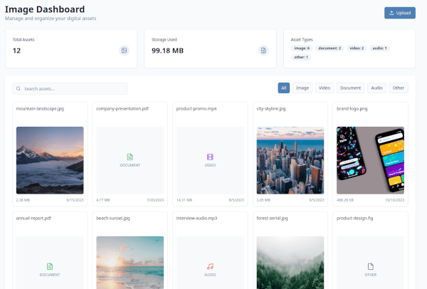 Vyso asset search and media library